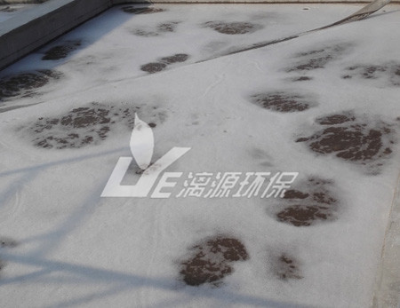 工業(yè)污水處理現(xiàn)代的處理技術(shù)有哪些？